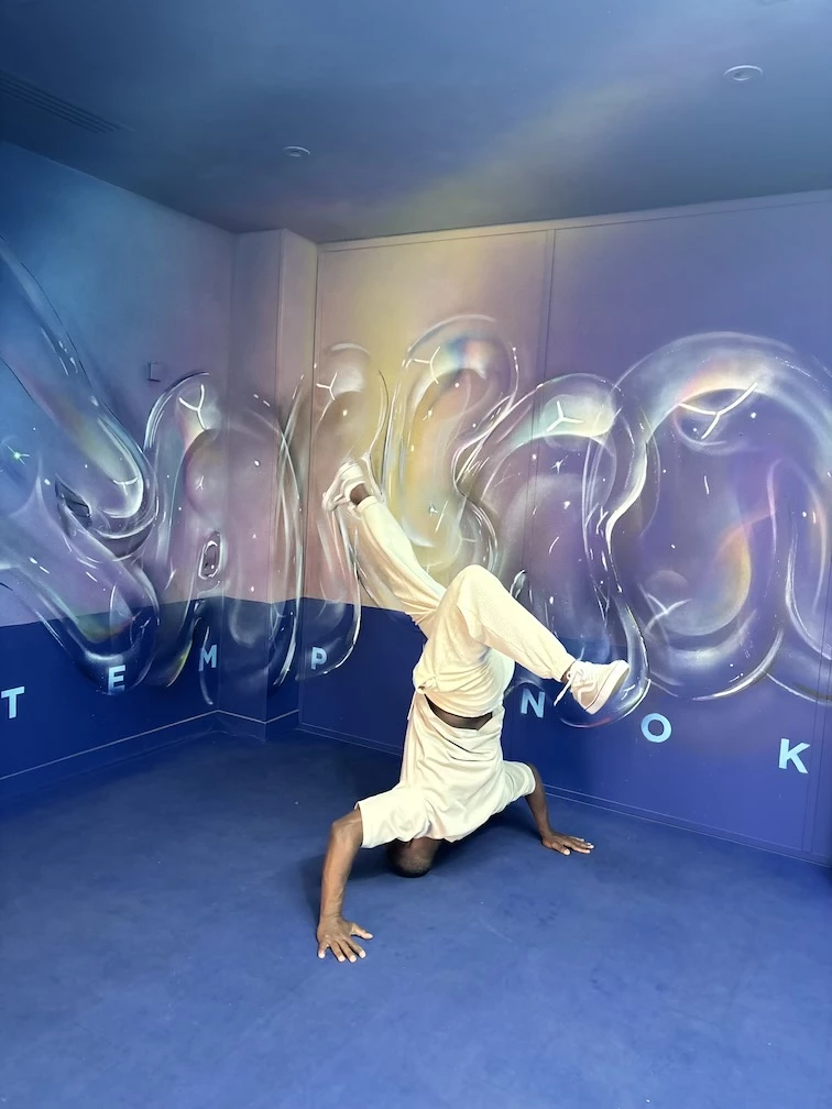 streetart graffiti la defense zooartshow galerieart paris sortieculturelle frenchwingz visiteludique arturbain